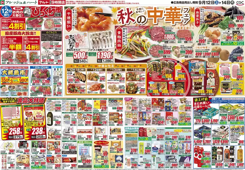 main_flyer image