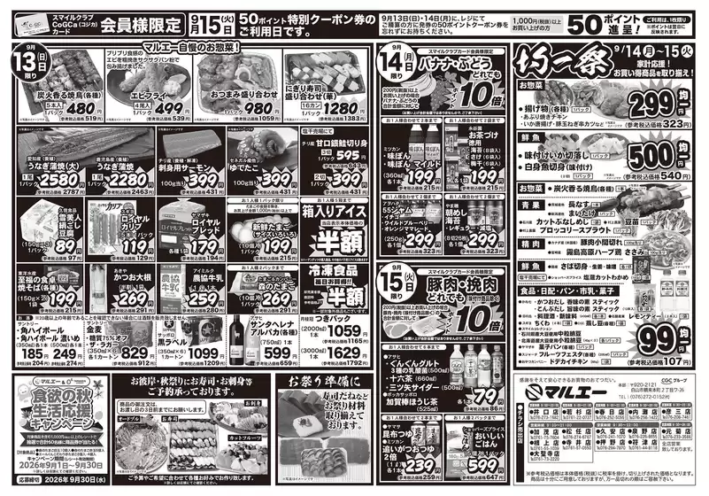 main_flyer image