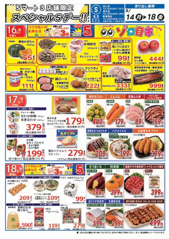 main_flyer image