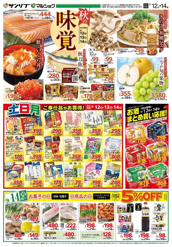 main_flyer image