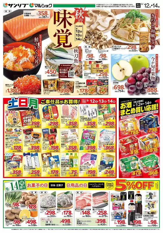 main_flyer image
