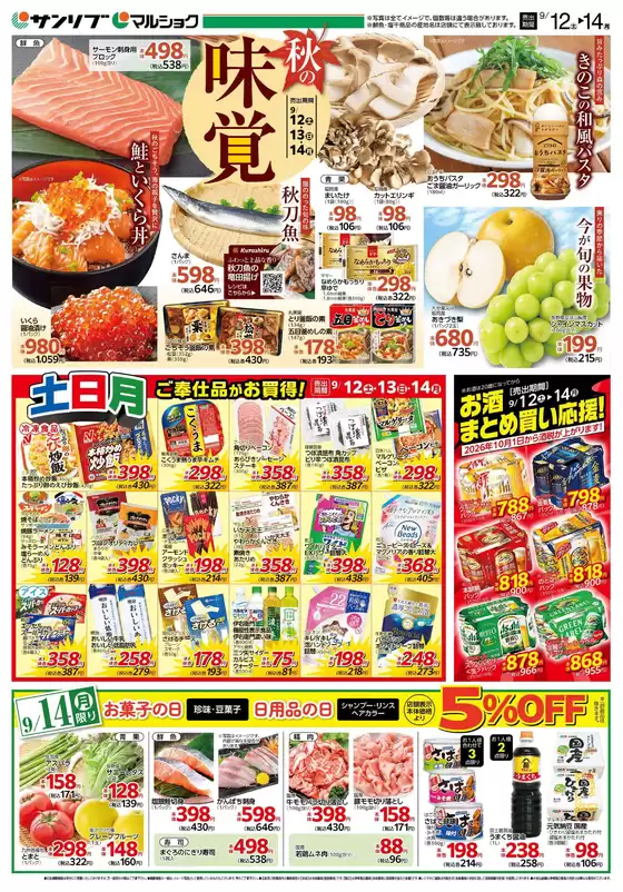 main_flyer image