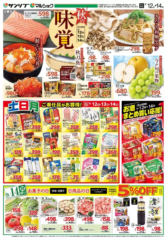 main_flyer image