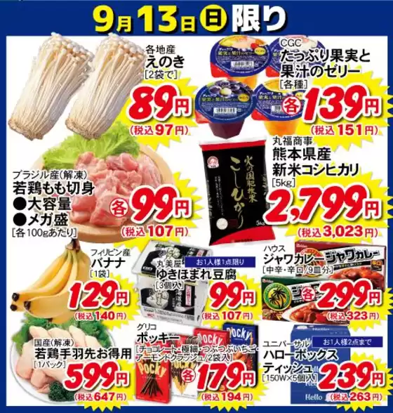 ロッキーのカタログ | ロッキー チラシ | 2026-09-13T00:00:00.000Z - 2026-09-13T00:00:00.000Z
