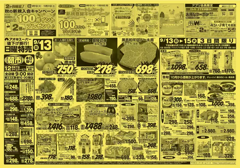 main_flyer image