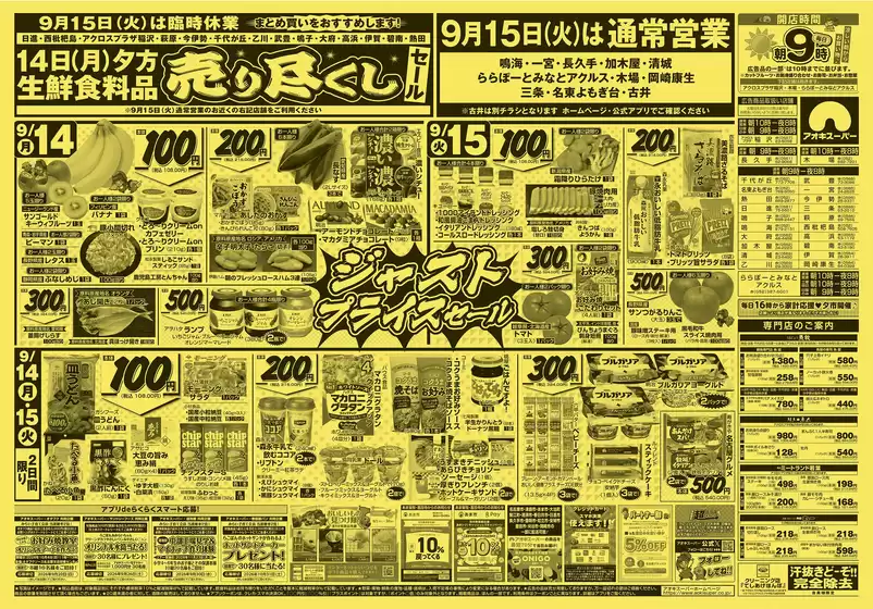 main_flyer image