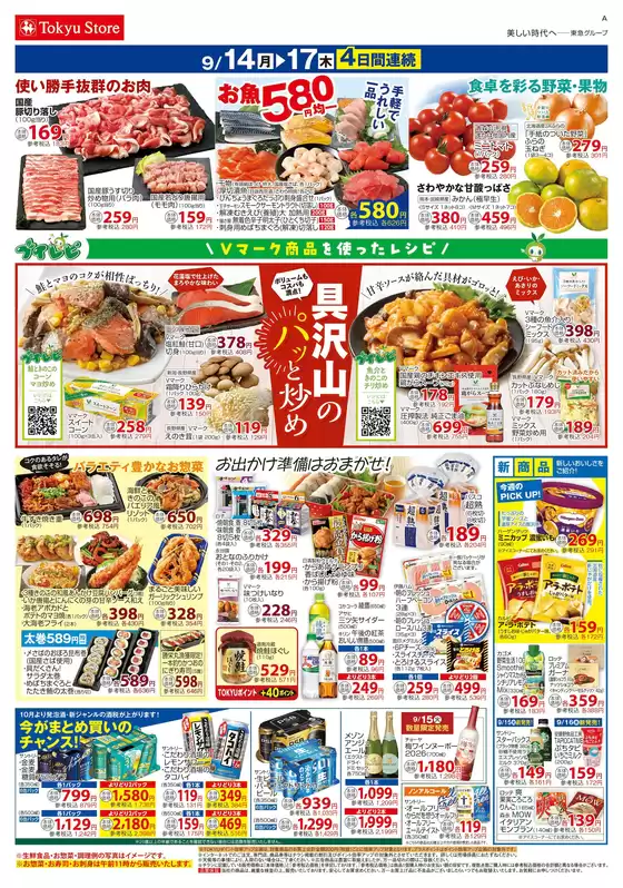 main_flyer image