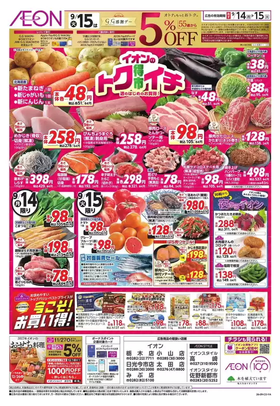 main_flyer image