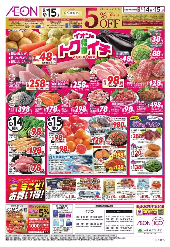 main_flyer image