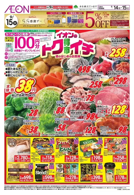 main_flyer image