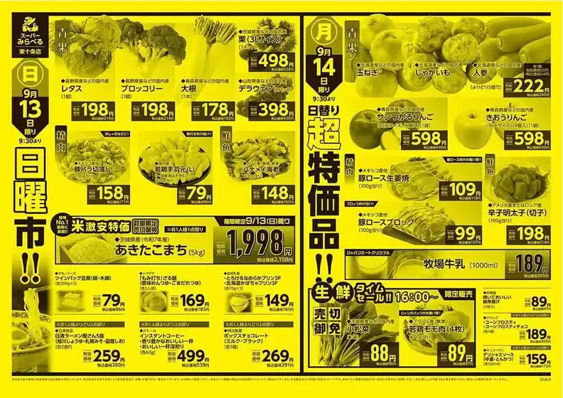 main_flyer image