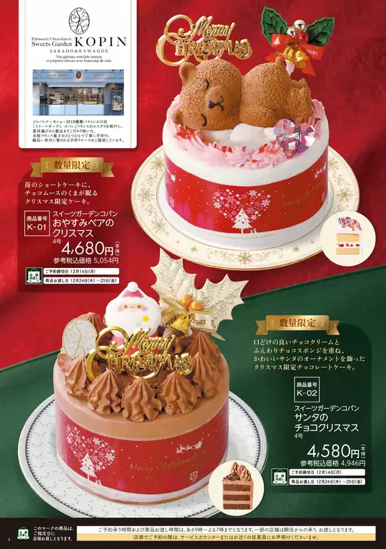 main_flyer image