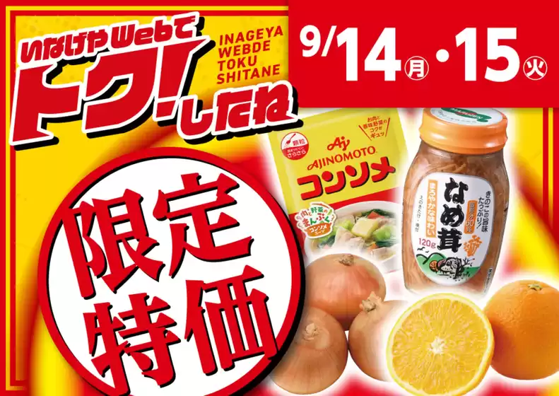 main_flyer image
