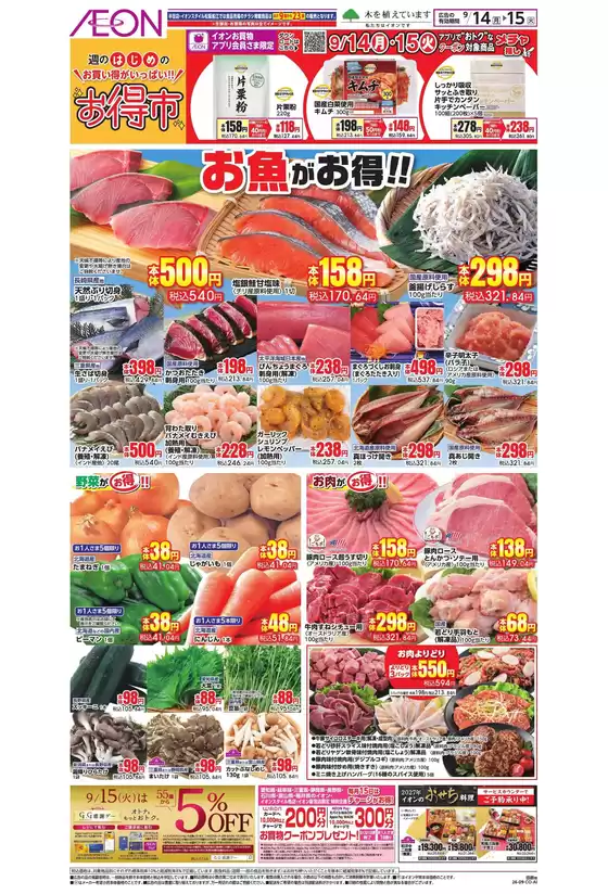 main_flyer image