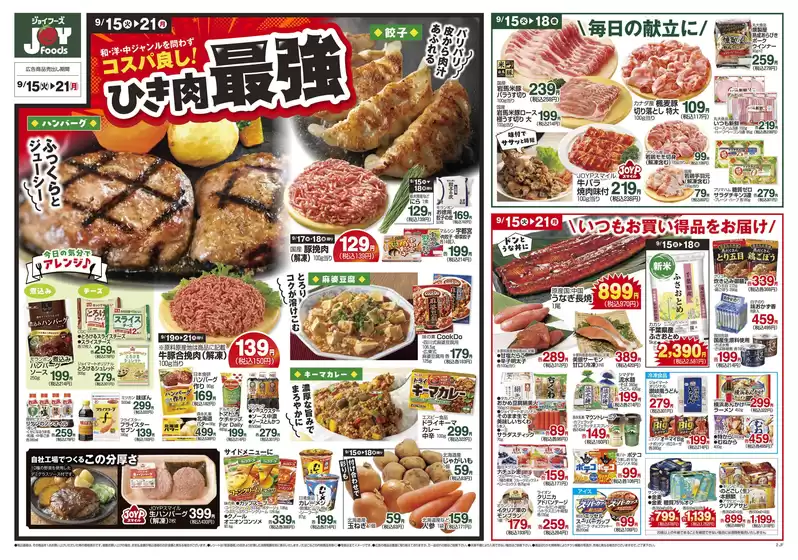 main_flyer image