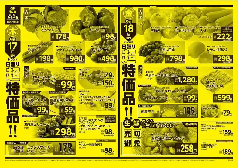 main_flyer image