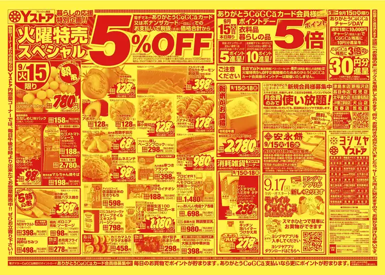 main_flyer image
