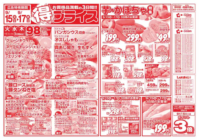 main_flyer image