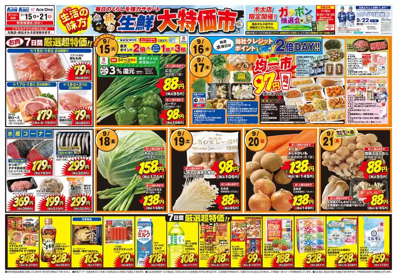 エースワンのカタログ | 豊富なオファーの選択 | 2026-09-15T00:00:00.000Z - 2026-09-21T00:00:00.000Z