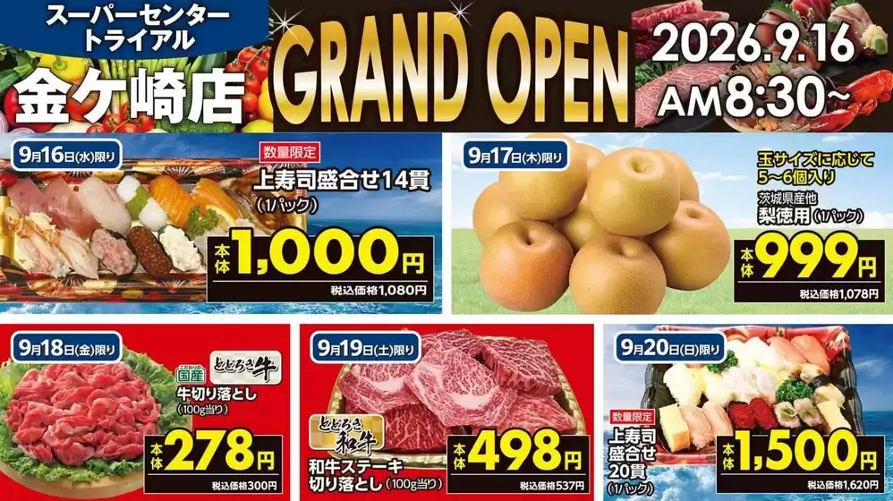 トライアルのカタログ | トライアル 最新チラシ | 2026-09-16T00:00:00.000Z - 2026-09-20T00:00:00.000Z