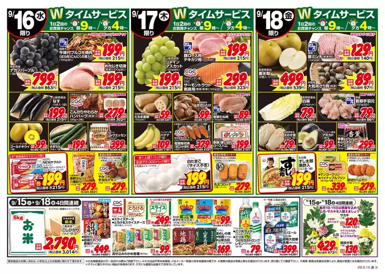 main_flyer image