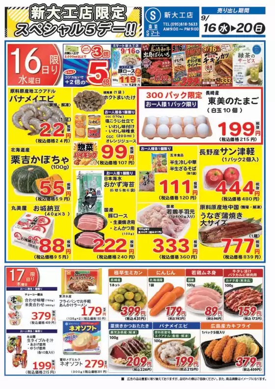main_flyer image