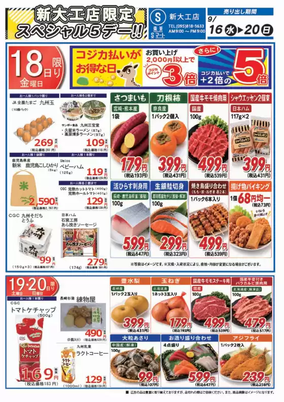 main_flyer image
