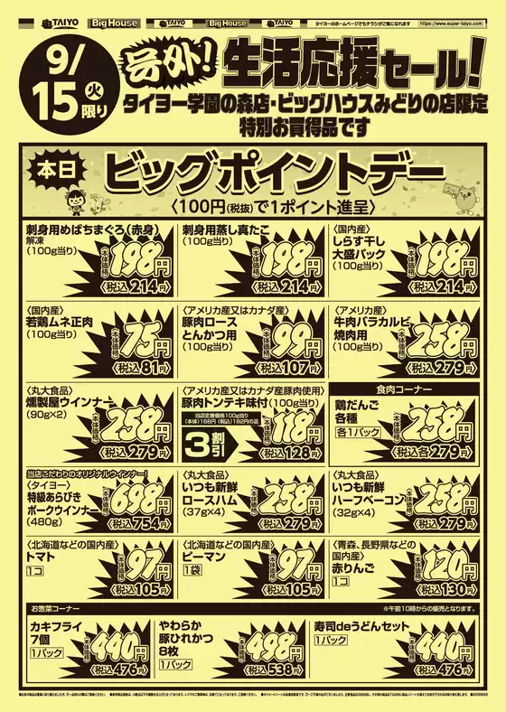 タイヨーのカタログ | 豊富なオファーの選択 | 2026-09-15T00:00:00.000Z - 2026-09-15T00:00:00.000Z
