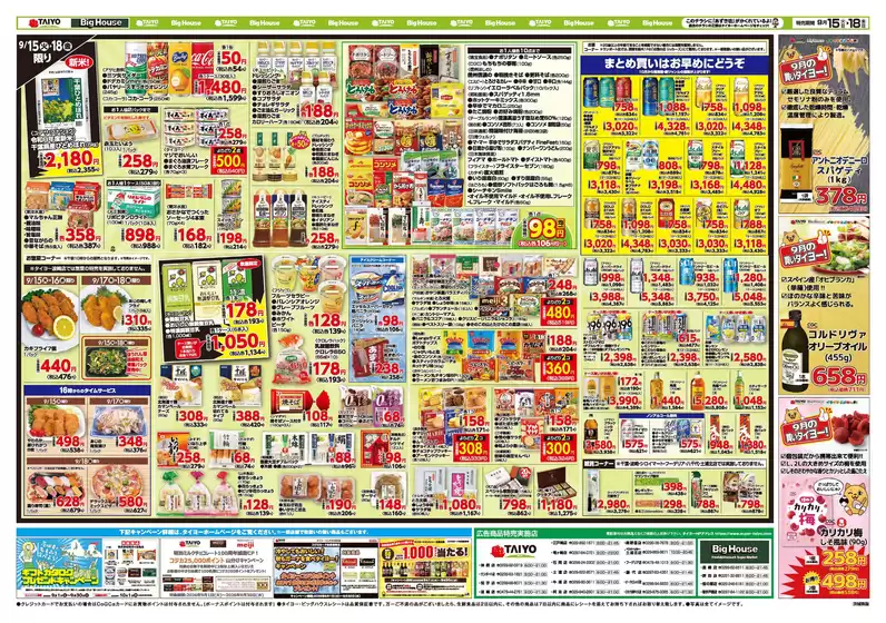 main_flyer image