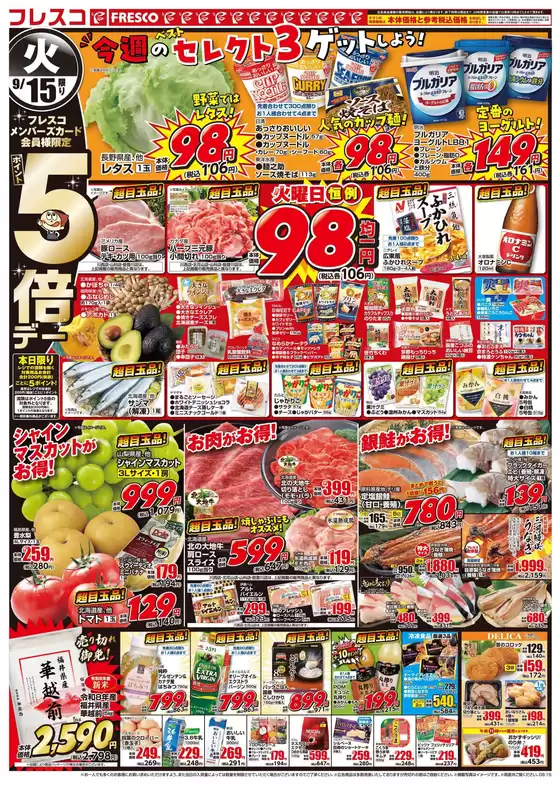 main_flyer image
