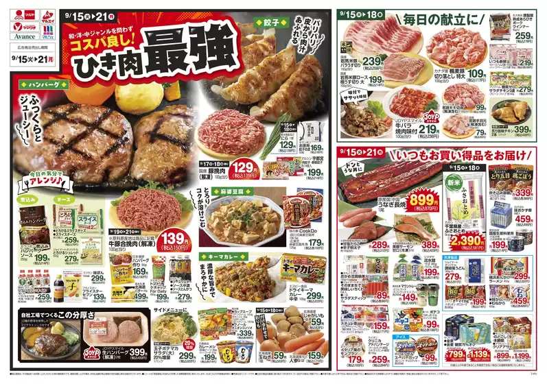 main_flyer image