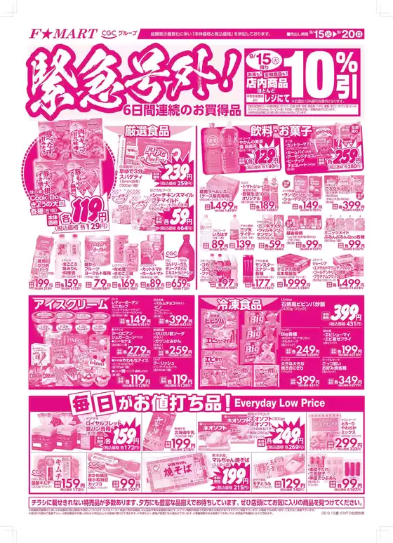 main_flyer image