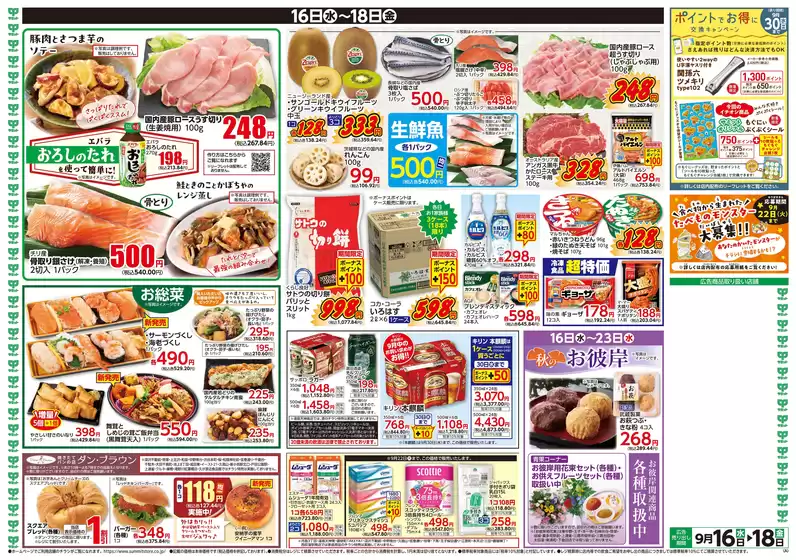 main_flyer image