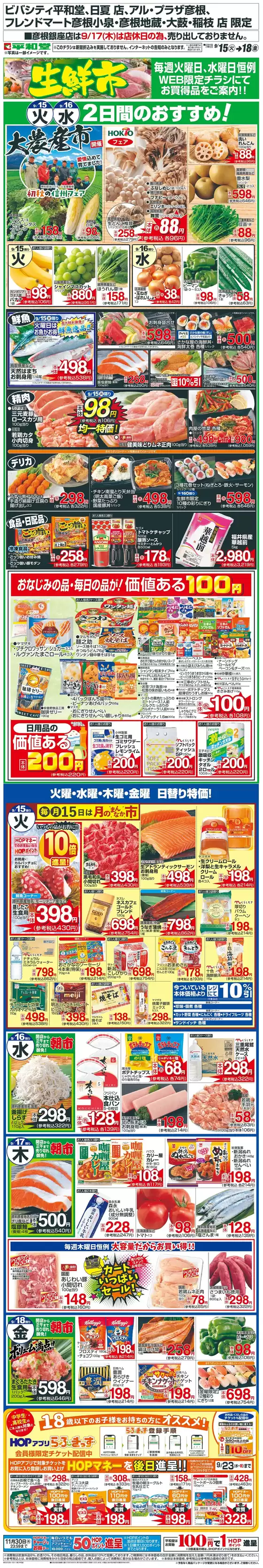 main_flyer image