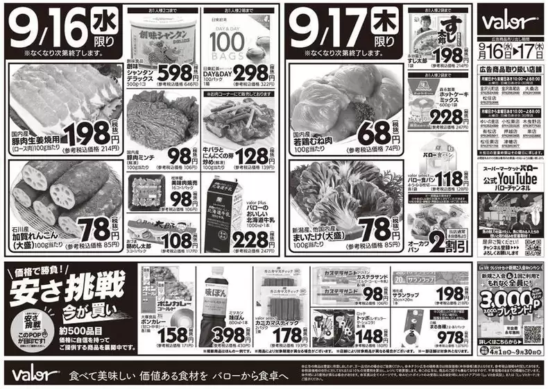 main_flyer image