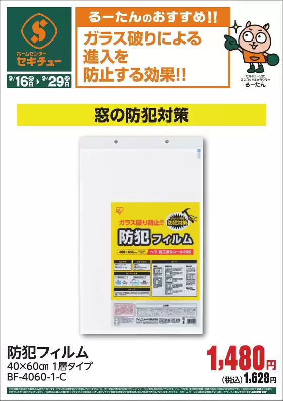 main_flyer image