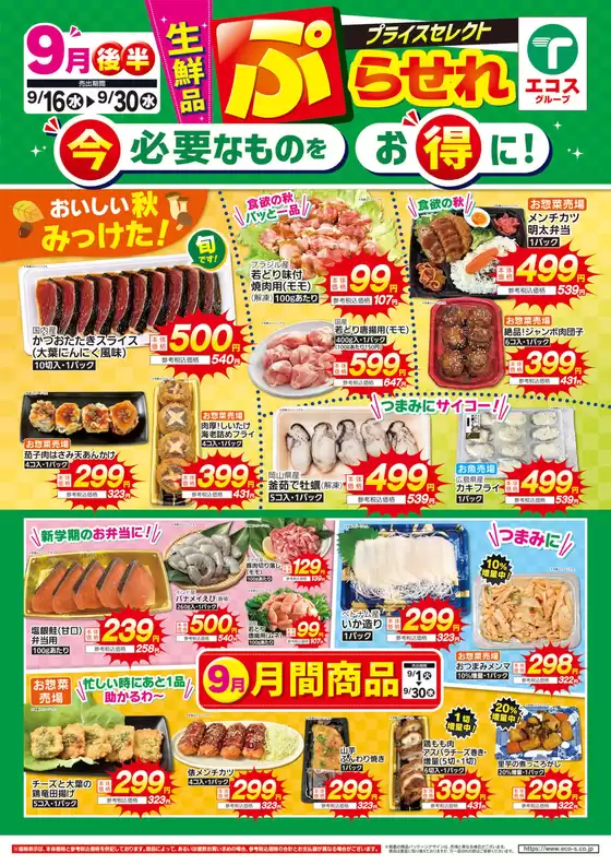 main_flyer image