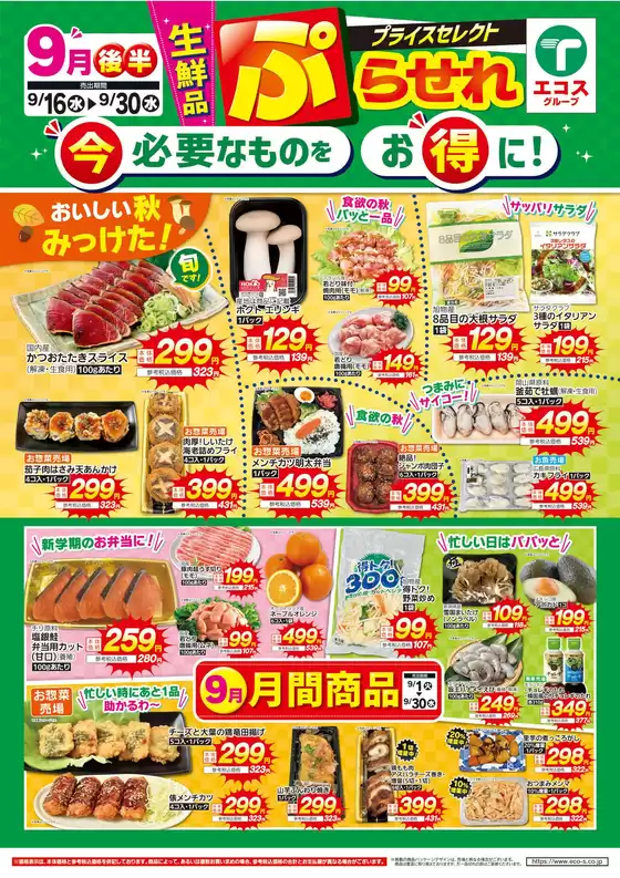たいらやのカタログ | 掘り出し物ハンターのためのオファー | 2026-09-16T00:00:00.000Z - 2026-09-30T00:00:00.000Z