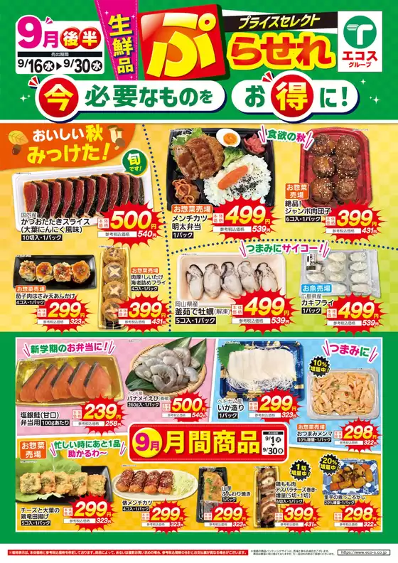 main_flyer image