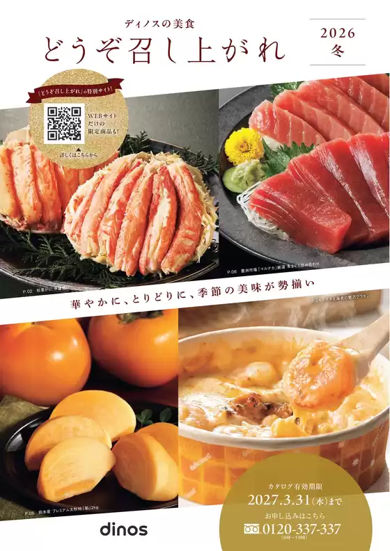 main_flyer image