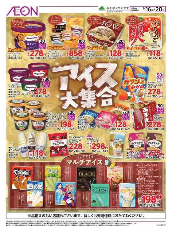 main_flyer image