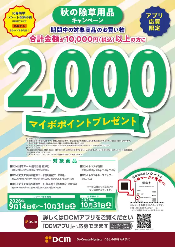 main_flyer image