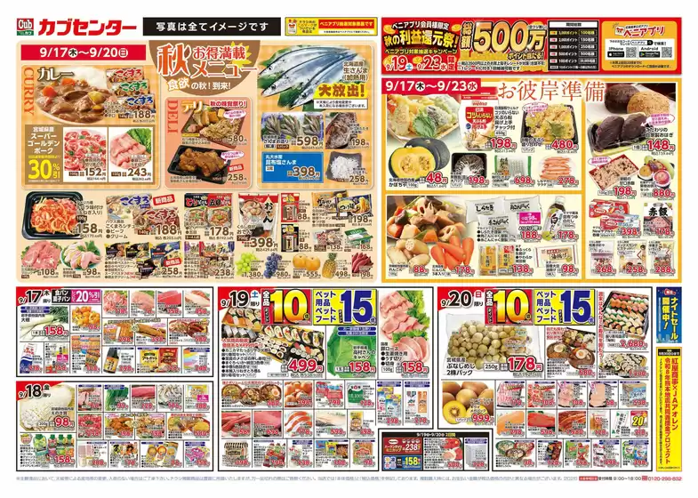 カブセンターのカタログ | 現在の掘り出し物とオファー | 2026-09-17T00:00:00.000Z - 2026-09-23T00:00:00.000Z