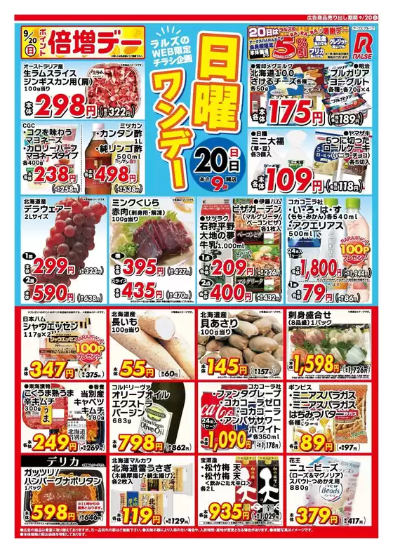 ラルズのカタログ | 0920 Web日曜ワンデー | 2026-09-19T00:00:00.000Z - 2026-09-20T00:00:00.000Z