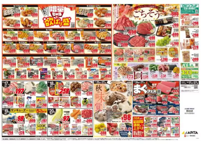 main_flyer image