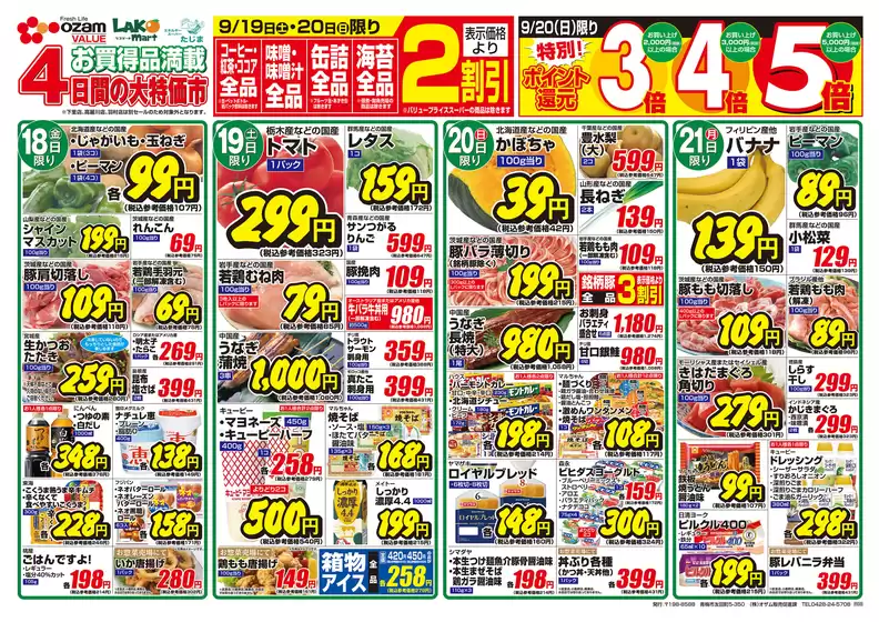 main_flyer image