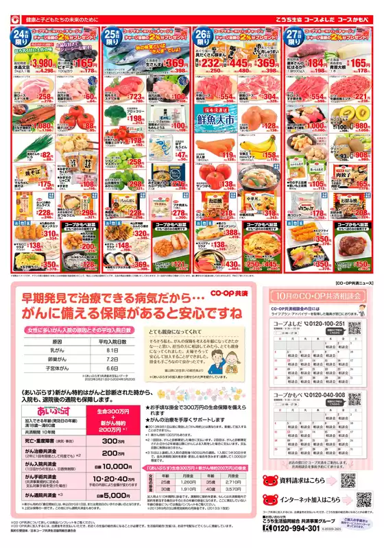 main_flyer image