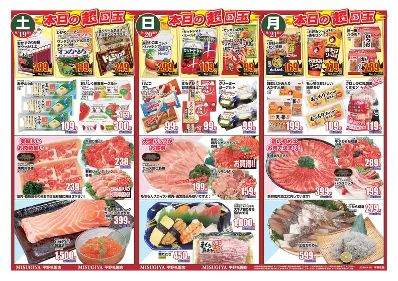 main_flyer image