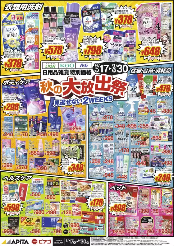 main_flyer image