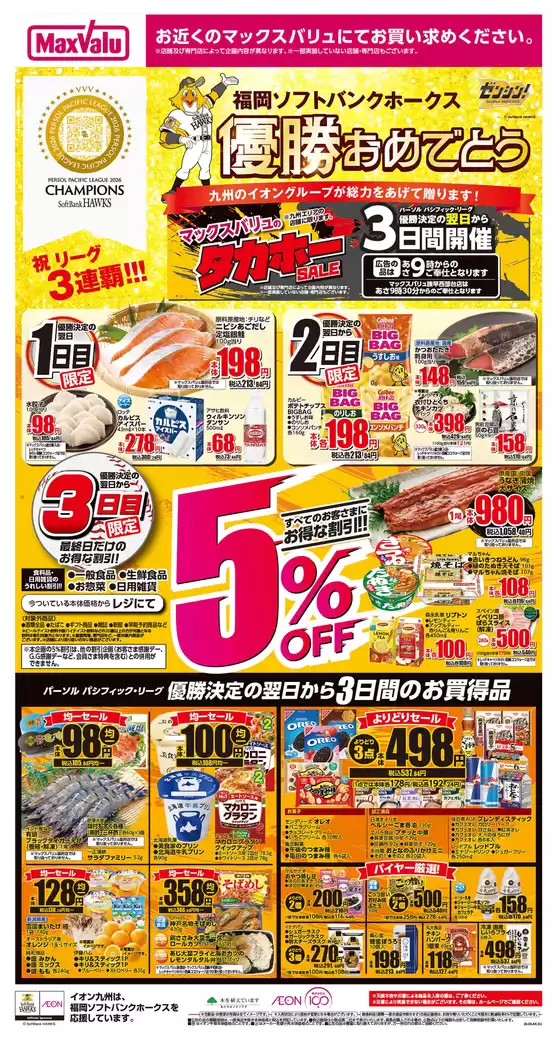 main_flyer image